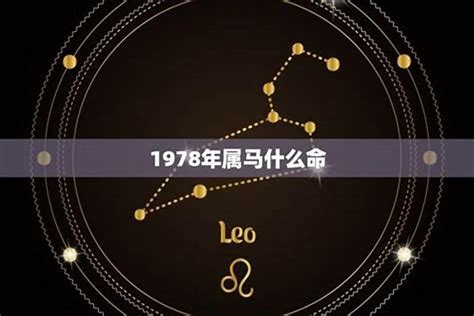 1978年属什么